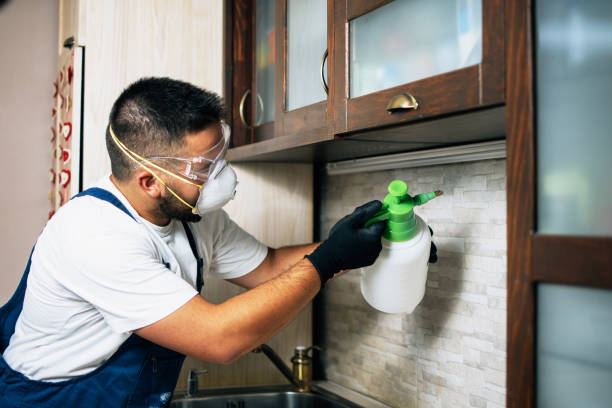 Best Best Pest Control Companies  in Rayville, LA